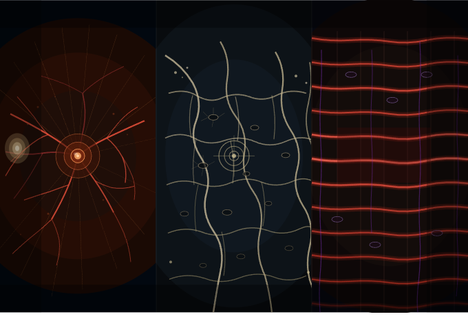 New Grants, New Frontiers: Three Projects Shaping the Future of Biomaterials Group